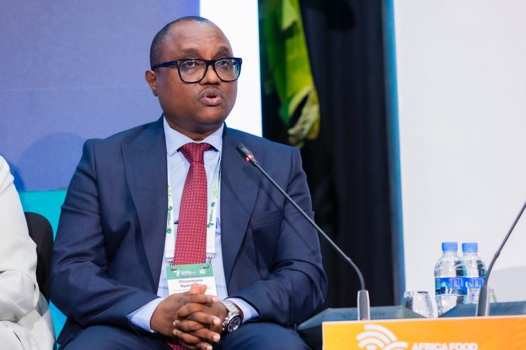 Why African countries need early warning systems, shock funds