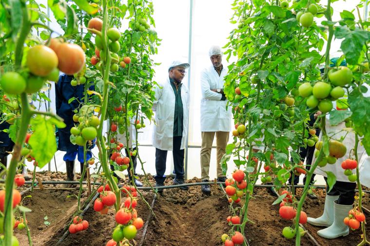 Rwanda’s four major investment priorities to boost agri-food systems